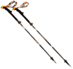 Leki Micro Vario Carbon Test